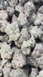 Jolly Ranchers Mediums - Bulk Mediums - Indica