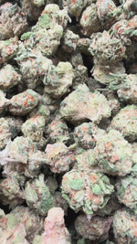 Super Lemon Haze Minis - Bulk Minis - Sativa