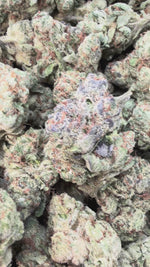 Biscotti 33 Indoor Mediums - Bulk Mediums - Indica