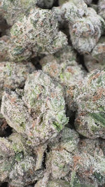 Uncle Snoop - Bulk - Hybrid