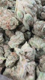Wedding Cake - Bulk - Minis (Indica)