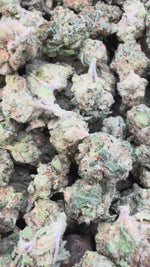 Grease Monkey Minis - Bulk Minis - Indica
