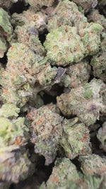 24K Gold - Bulk Minis - Indica