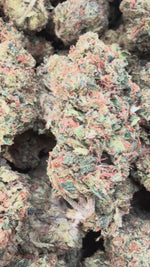 Citrus Kush - Bulk - Indica