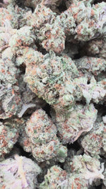 Rainbow Runtz Mediums - Bulk Mediums - Hybrid