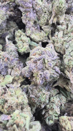 Nuclear Zkittlez - Bulk - Hybrid