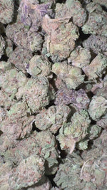 Cookie Fuel Minis - Bulk Minis - Hybrid