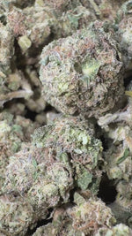 Illuminati OG- Bulk - Indica