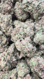 Durban Mintz - Bulk - Indica