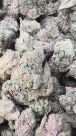 Ice Runtz - Bulk - Indica