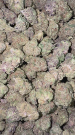 Lemonatti Minis - Bulk Minis - Sativa