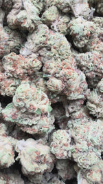 Barneys Biscotti - Bulk - Indica