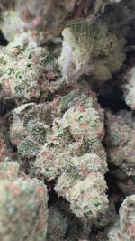 Gas Face - Bulk - (Indica)