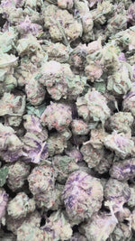 Glitterati Minis - Bulk Minis - Indica