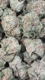 Kush Mintz - Bulk Minis - Hybrid