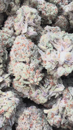 Rainbow Runtz - Bulk - Hybrid