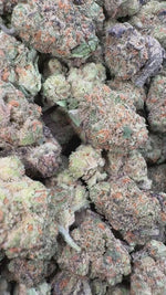 Horchata Gas - Bulk Minis - Hybrid