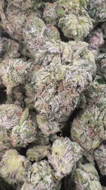 Berry Pop - Bulk Minis- Hybrid