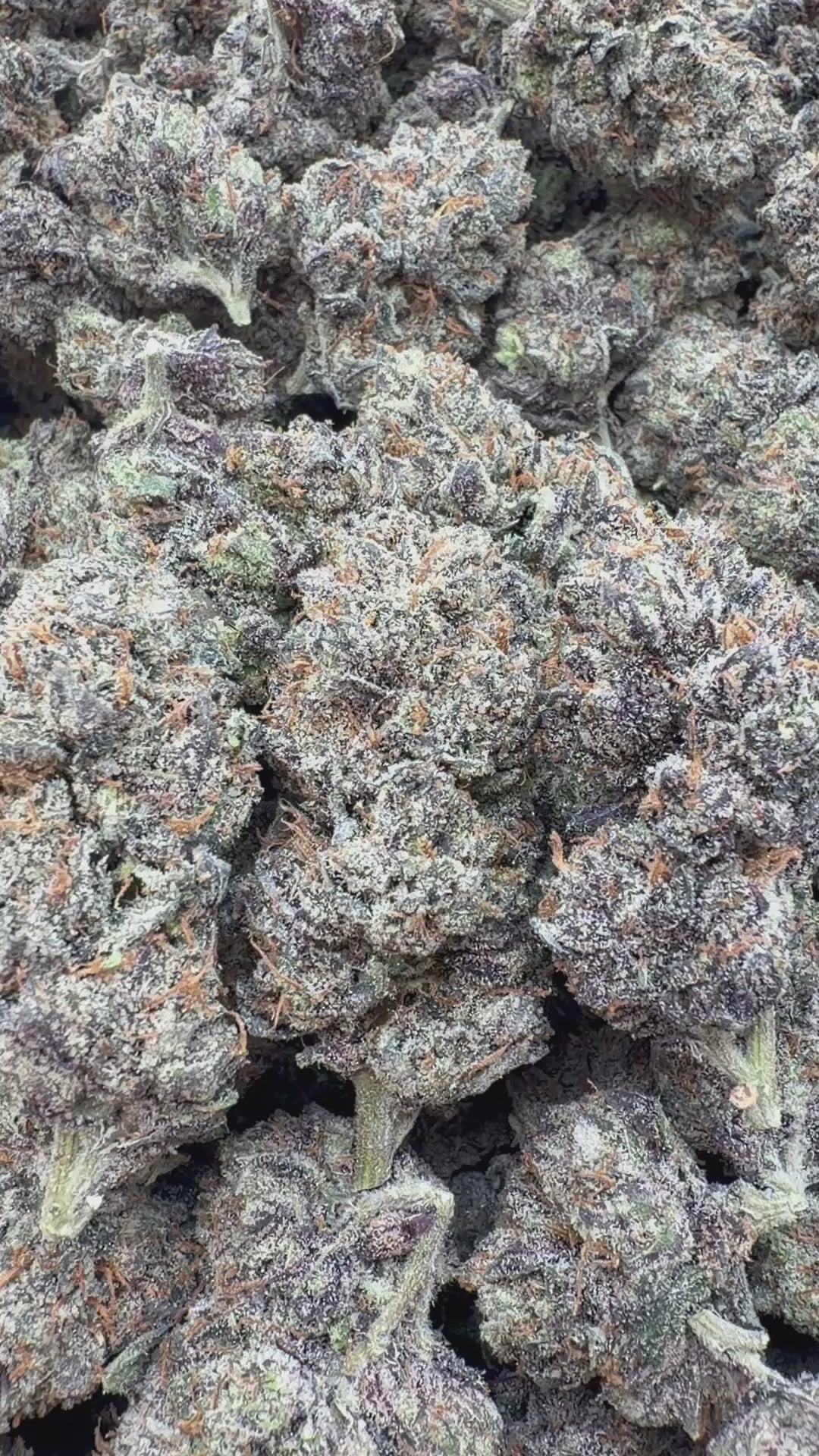 Grape Ape Indoor - Bulk - Hybrid  Smoke Kind