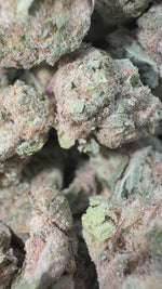 Frozen Dessert - Bulk Minis - Indica