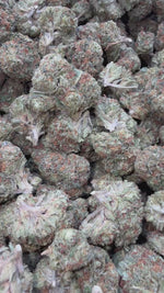 Fruity Pebbles OG - Bulk - Indica