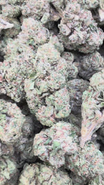 Lemon Fuel OG - Bulk - Hybrid