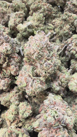Mochi Gelato - Bulk - Indica