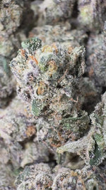 Nuclear Zkittlez - Bulk - Hybrid