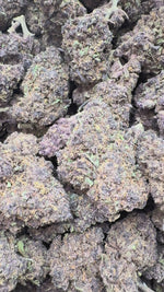 Forbidden Fruit Littles - Bulk Littles - Indica