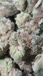 West Coast Chronic - Bulk - Minis (Hybrid)