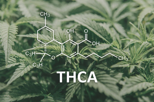 The chemical formula for THCa seen in front of a background of hemp plants. 