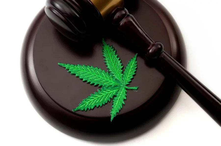 Gavel resting on sound block with green cannabis leaf symbolizing federal marijuana reclassification and Schedule III legal policy shift