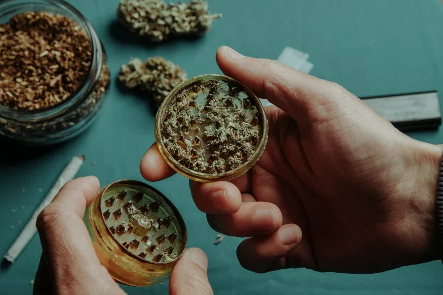 A person using a grinder to grind THCa flower