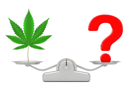 Hemp leaf and question mark balanced on scale represents THCa questions and unclear understanding for new users