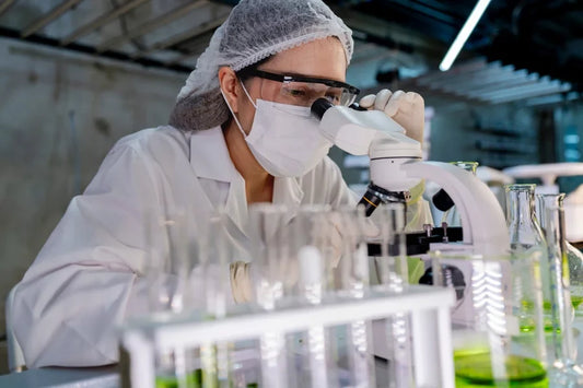 Researchers testing THC