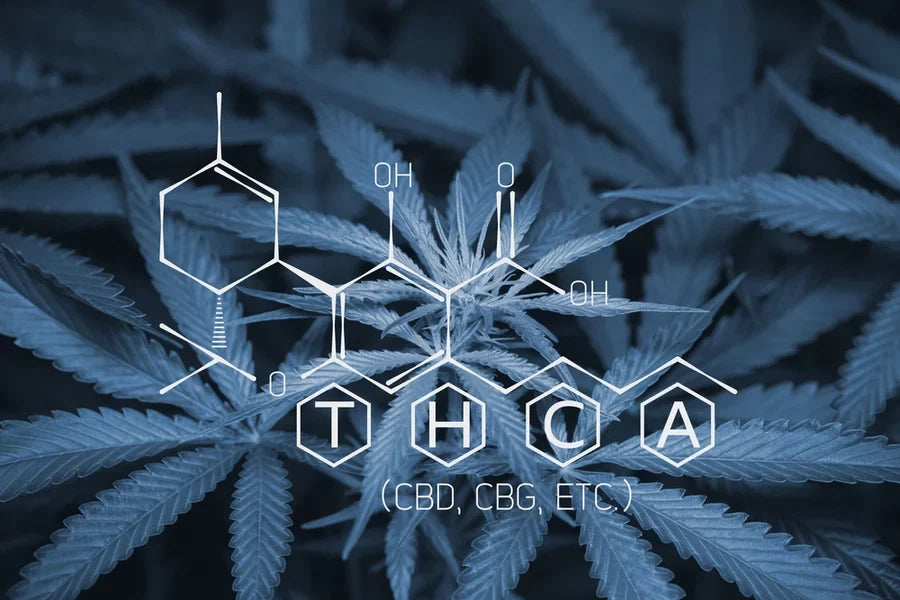 THCa molecular structure