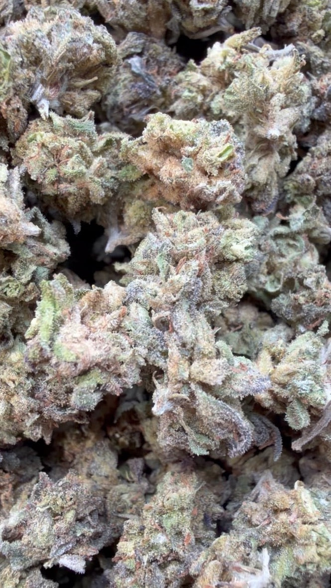 Cereal Milk Minis - Bulk Minis - Hybrid