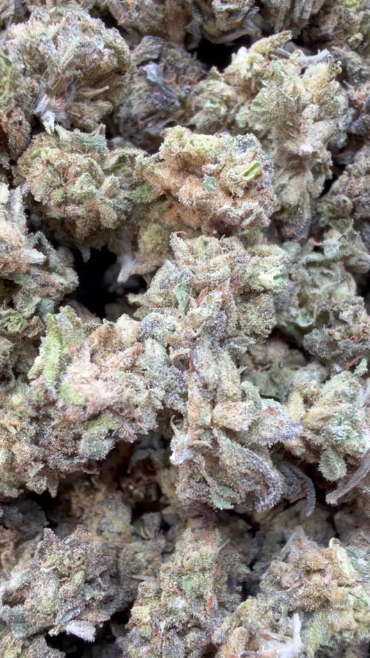 Cereal Milk Minis - Bulk Minis - Hybrid