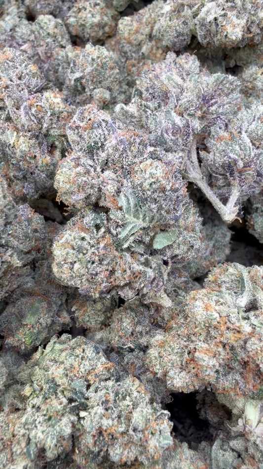 Marathon OG Indoor - Bulk - Indica