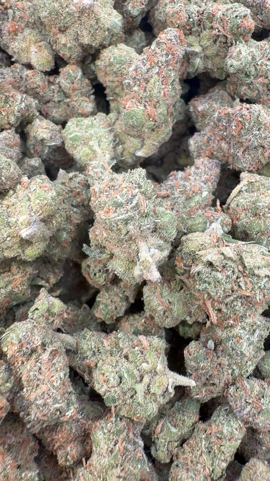 Super Lemon Haze Indoor Minis - Bulk Minis - Sativa