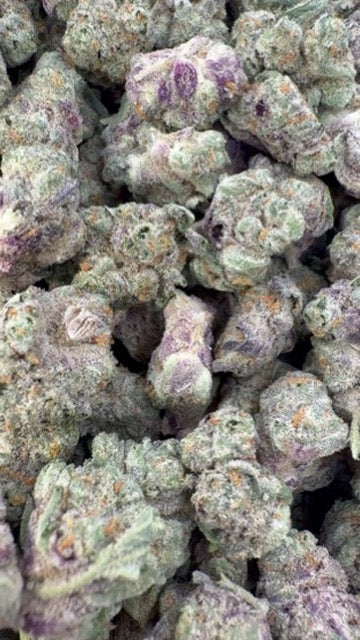 Grape Pie Indoor Minis - Bulk Minis - Indica