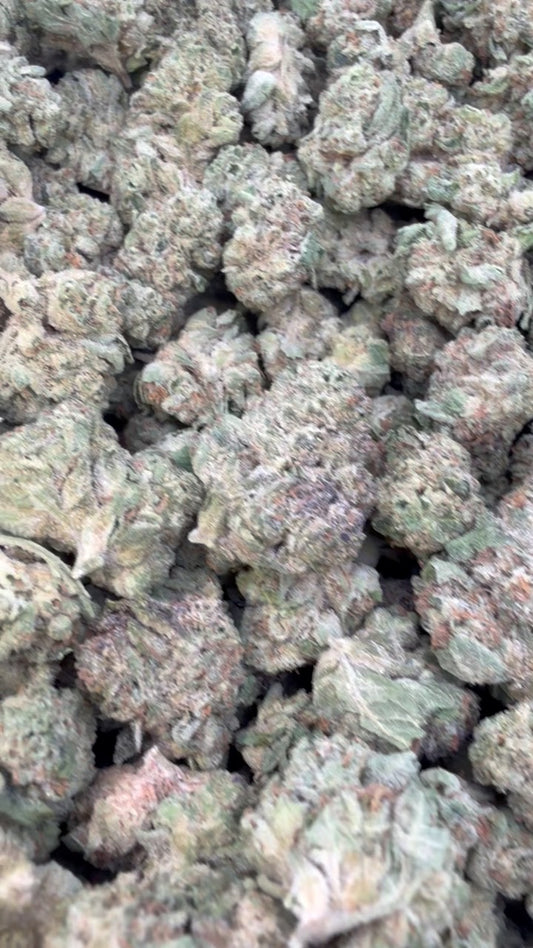 London Pound Cake 97 Minis - Bulk Minis - Indica