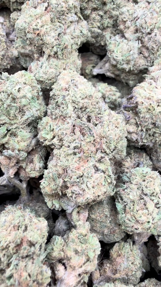 Elmer's Glue - Bulk - Hybrid