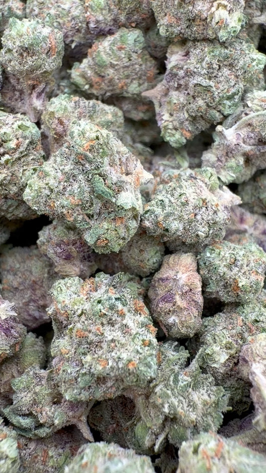 Citrus Skunk Indoor Minis - Bulk Minis - Hybrid