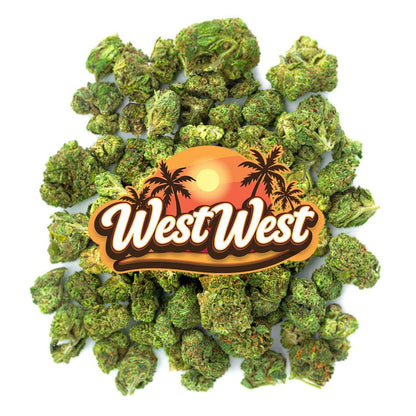 West West Brand - Key Lime Pie - 14 Grams - Indica