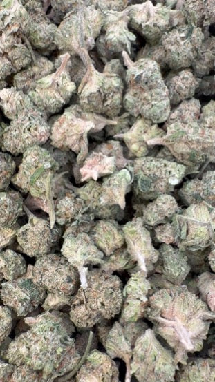 Donutz Minis - Bulk Minis - Indica