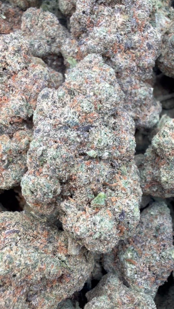 24K Gold Indoor - Bulk - Indica