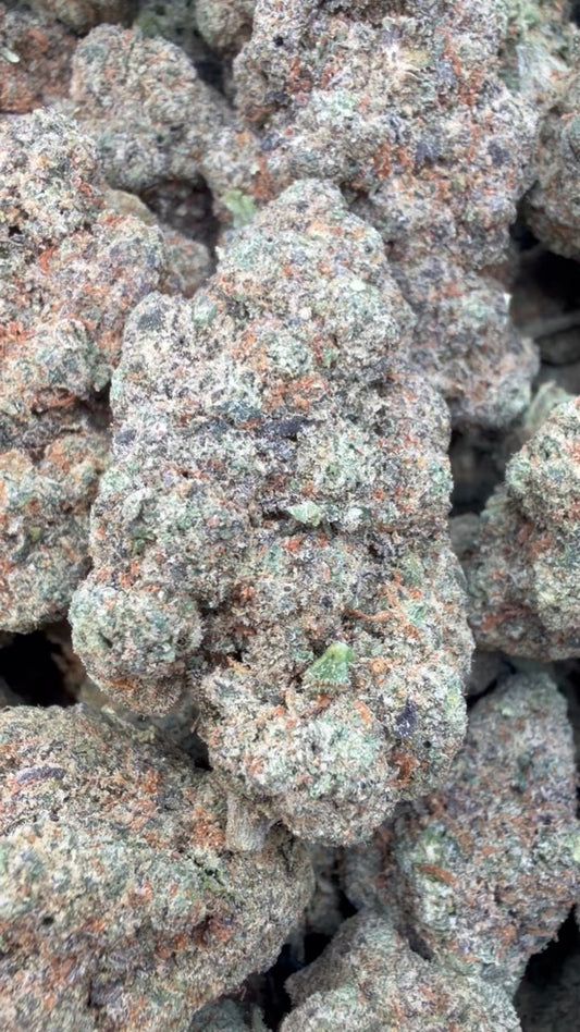 24K Gold Indoor - Bulk - Indica