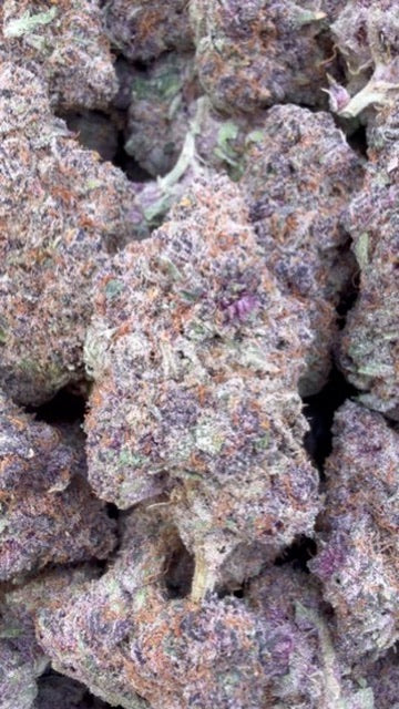 Forbidden Fruit Indoor - Bulk - Indica