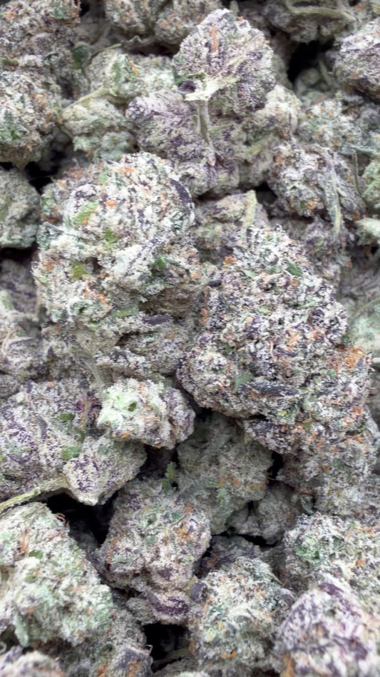 Boutique Exotics White Nerds Mediums - Bulk Mediums - Hybrid